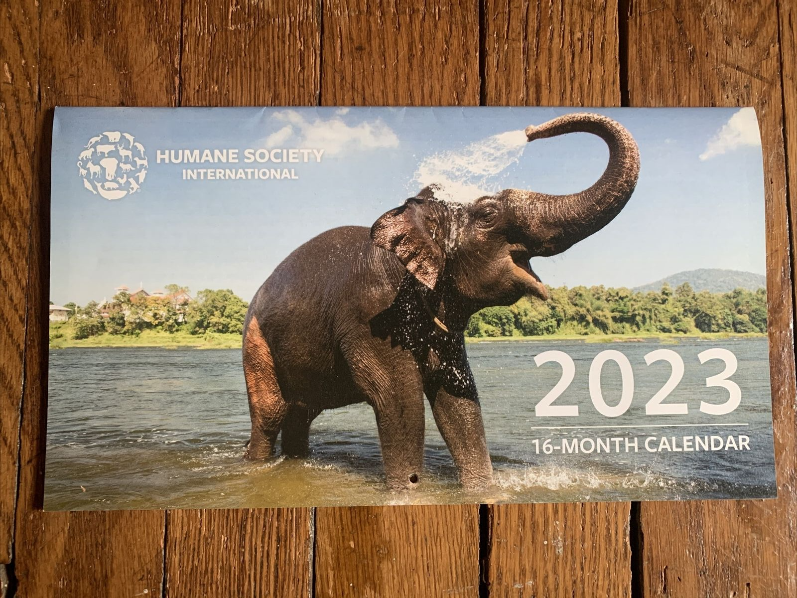16 Month Calendar 2023 NEW Humane Society International | eBay 16-month-calendar-2023-new-humane-society-international-ebay