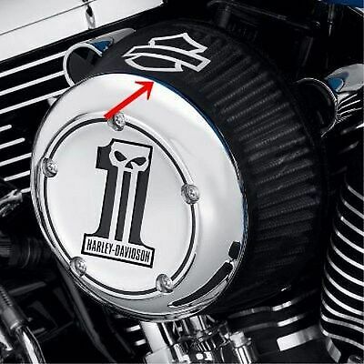 RETE ANTI PIOGGIA IMPERMEABILE FILTRO ARIA SCREAMIN EAGLE O ARLEN NESS STAGE1 - Imagen 5 de 12