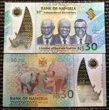 Namibia 30 Dollars 2020 Polymer Commemorative Banknote World Paper Money UNC