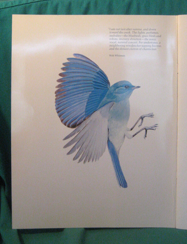 USPS-The 1982 Fifty State Birds & Flowers neuwertiges Set-Softcover Booklet - nur Buch - Bild 2 von 8