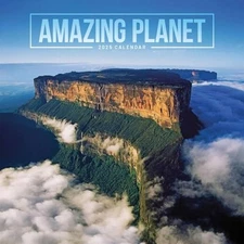 Amazing Planet Mini Wall Calendar 2025 (PFP) Calendar Book The Fast Free