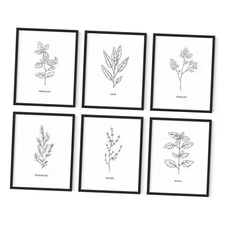  Wall Art Prints, Herbs Art Set, 11"L x 14"W Black & White Herbs Black Framed