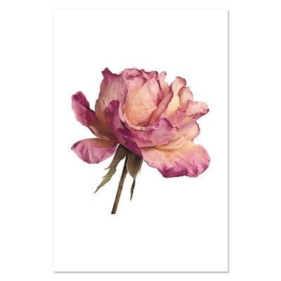 Wandposter / Drucke ''Getrocknete rosa Rose'' (PP058737)