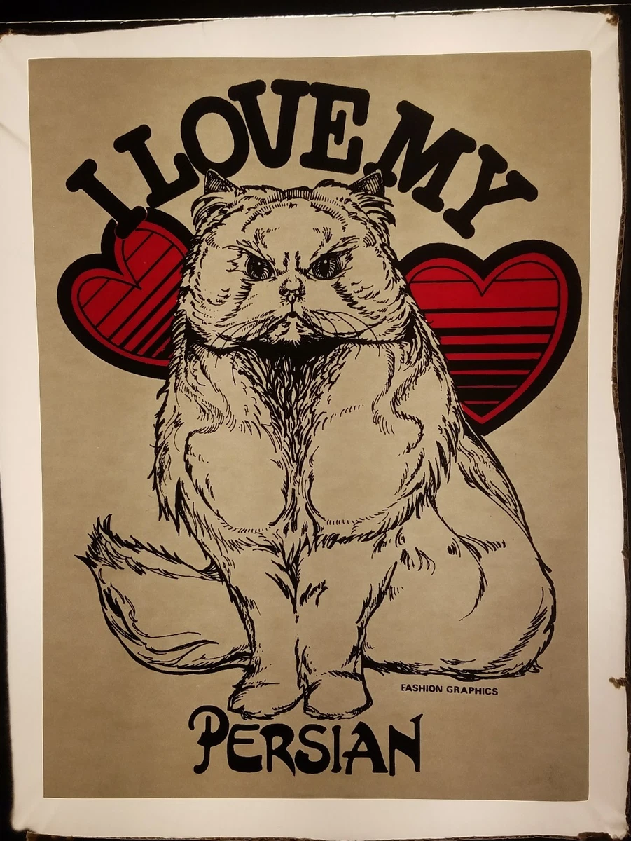 Persian cat shirt 2025