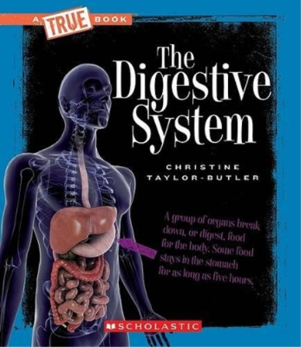 Christine Taylo The Digestive System (a True Book: Healt (Paperback) (US IMPORT)