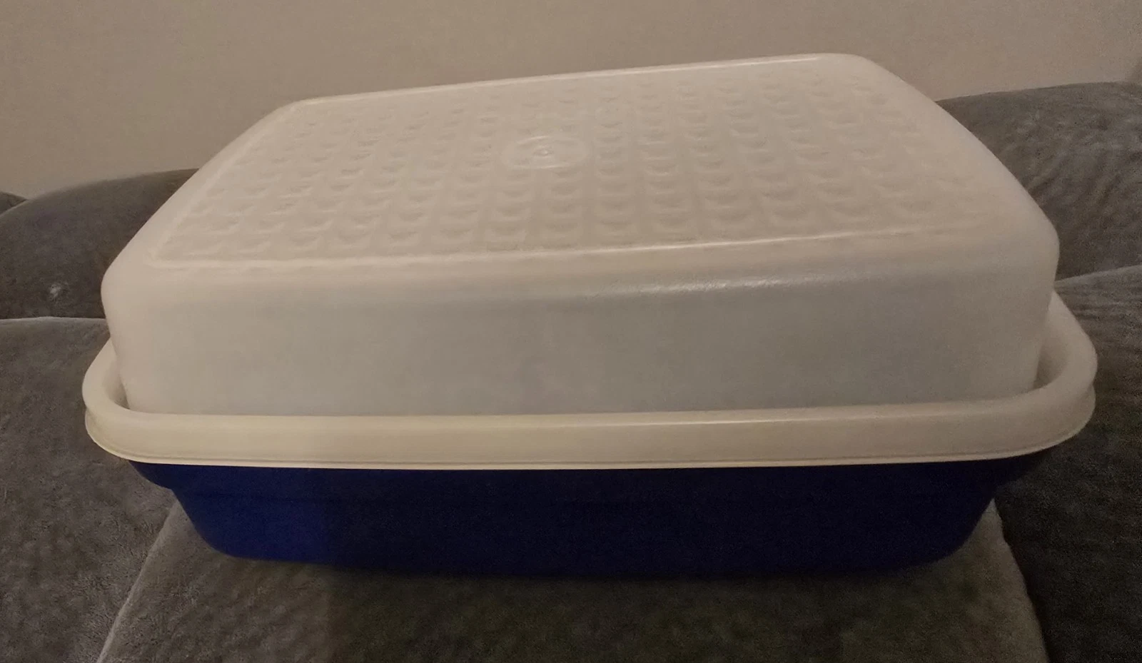 Tupperware Meat Tenderizer Marinade Season N Serve Blue Clear White