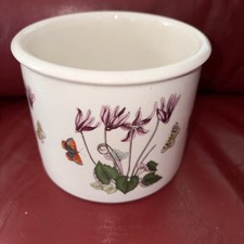 Portmeirion Botanic Garden Cyclamen planter