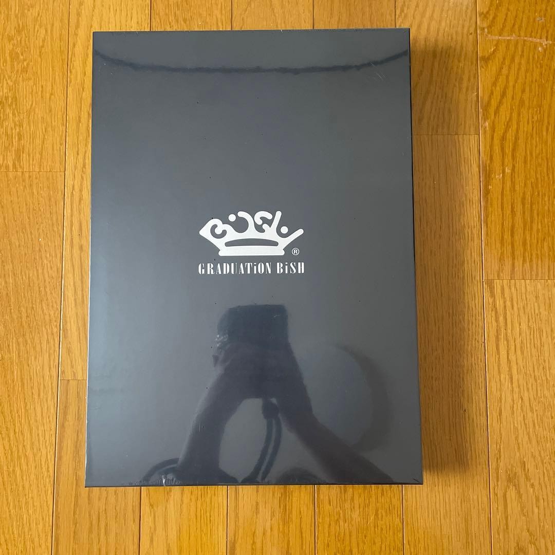Y0317 GRADUATION BiSH Art Book 2015-2016