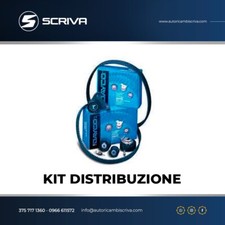 Kit de distribution Ford FOCUS