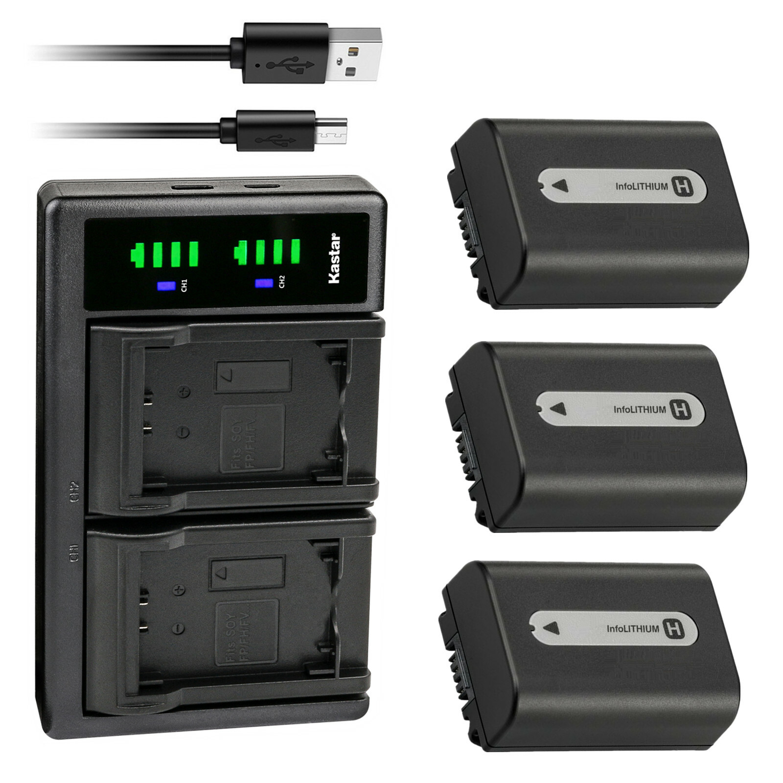 Kastar Battery LCD Dual Charger for Sony NP-FH30 NP-FH40 NP-FH50 NP-FH70 NPFH100