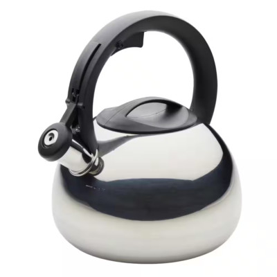9.2-Cups Stainless Steel Induction Tea Kettle with Pour Spout