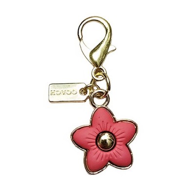 小物 Coach keychains colorful flowers charms m_619924a9163df4ce55038bc2.jpg