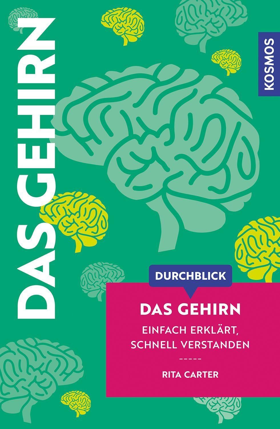 Durchblick Das Gehirn Rita Carter