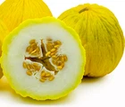 Golden Beauty Casaba Melon Seeds 30 SEEDS NON-GMO--BUY (4) ITEMS FREE SHIPPING
