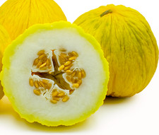 Golden Beauty Casaba Melon Seeds 30 SEEDS NON-GMO--BUY 4 ITEMS FREE SHIPPING