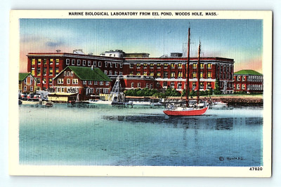 Marine Biological Laboratory from Eel Pond Woods Hole Massachusetts Postcard E2