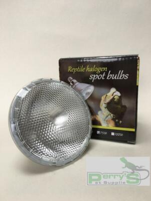 halogen basking bulb