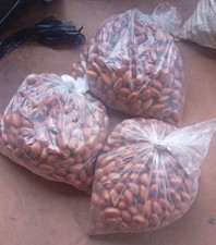 Bitter Cola/ Garcinia kola. Fresh From Nigeria-100g