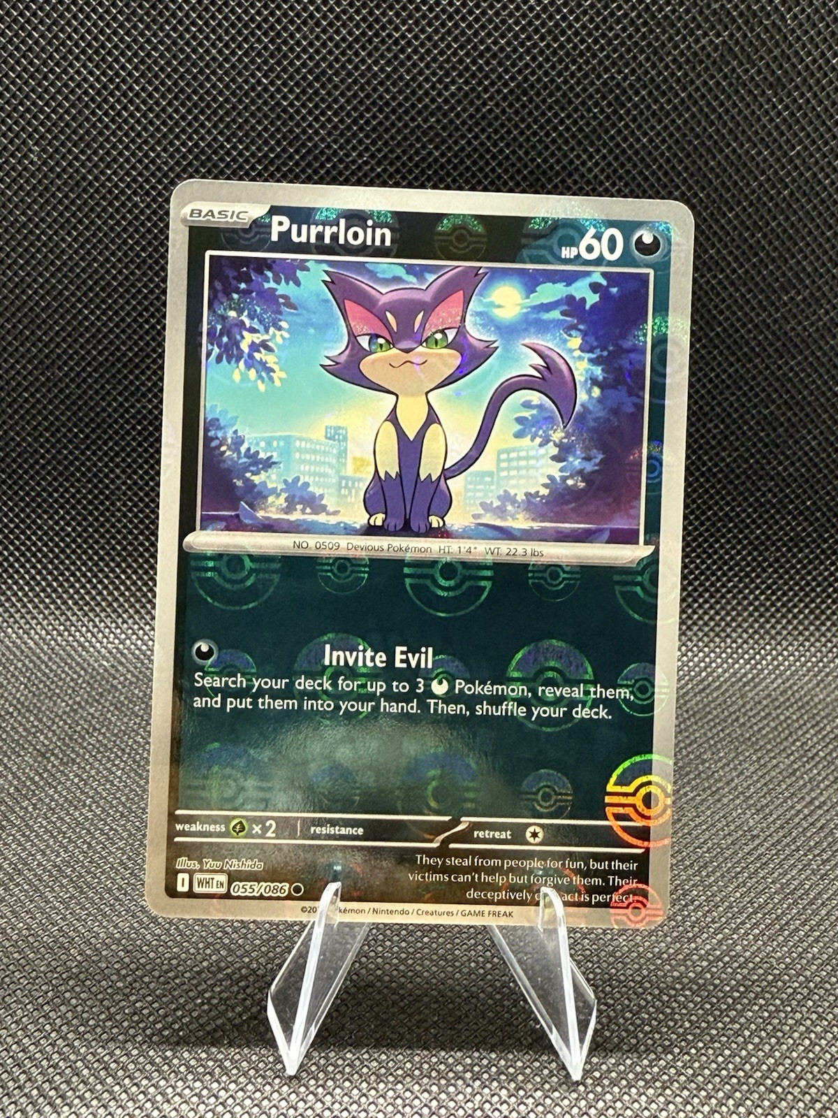 Purrloin | 55 | Pokemon | White Flare | Poke ball Pattern | 50% off 2nd Card