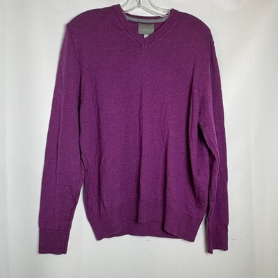 Thomas Dean Mens Purple 100% Extra Fine Merino Wool V-Neck Sweater Size M