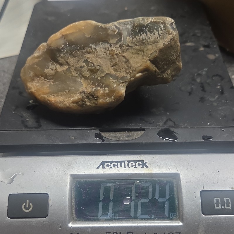 Agatized Chert Rough, Cabbing, Lapidary, 12.4oz