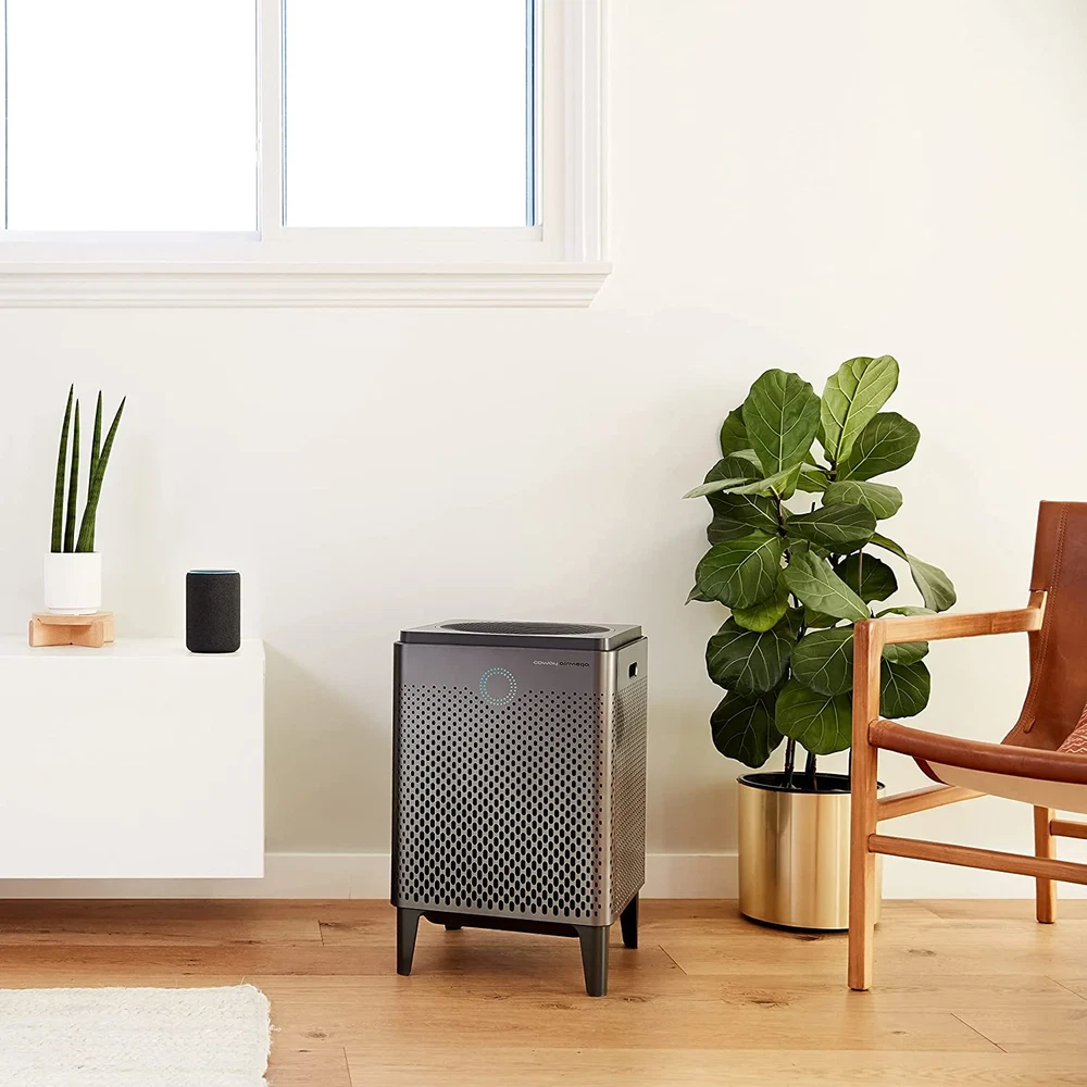 Airmega 400S Graphite HEPA Air Purifier for Large Rooms