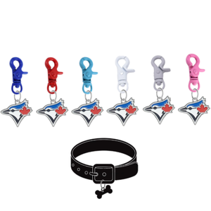 blue jays dog collar