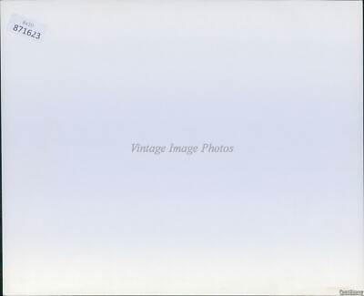 News Photo Joecocker Tour Gordon Edwards Patti Punch Eric Gale