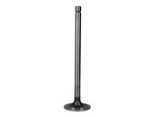 Intake Valve TRW 105-35648