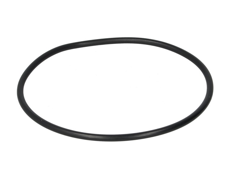 Fits EURORICAMBI 95531553 Shaft Seal, manual transmission flange 95531553 Gearb