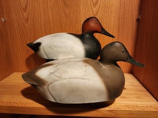 Nice Original 1950s Neumann Bennetts D20 Canvasback Pair Duck Decoys Berkely CA