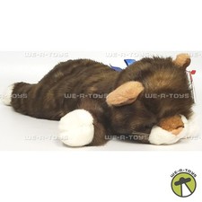 Ty Beanie Classics Spice the Cat with Blue Ribbon Plush