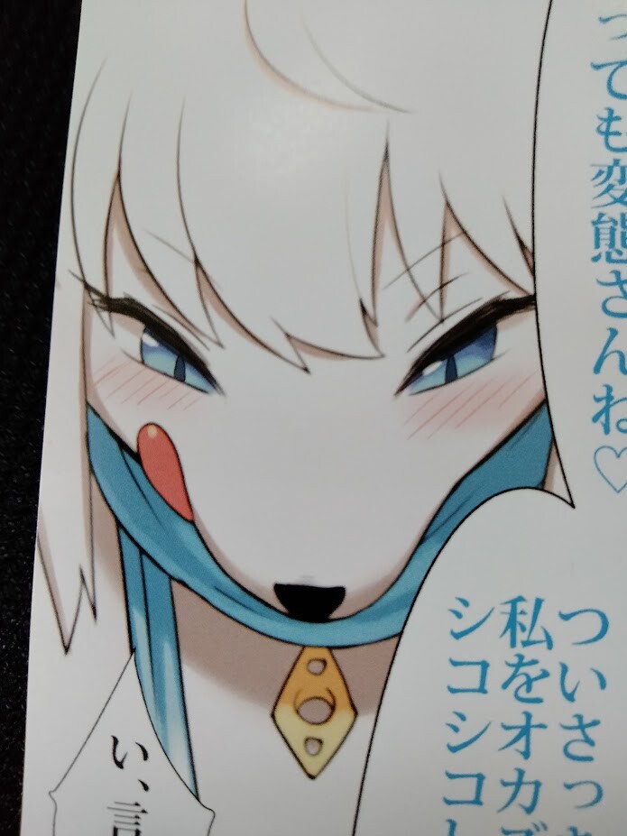 鴨 エッチング summer companions BY AL DORNISCH Girls und Panzer das Finale Original Illustration Dakimakura
