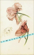 Etude de Tulipes - Tulips Study By Privat Livemont 1900 Vintage Flower Print Art