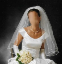 Pre-Owned Wedding Dress and Vail - Professionally Preserved