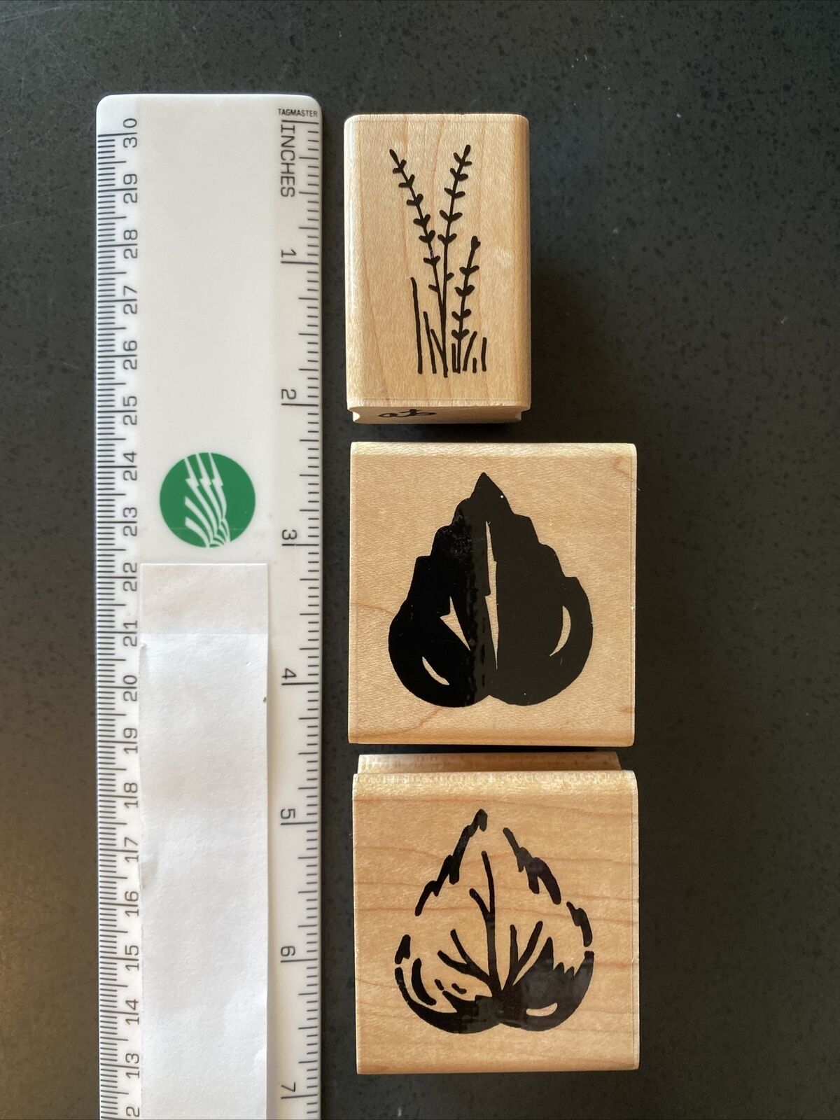 Leaves & Plant Rubber Stamps-JRL 2021new shipping free Design Washington Mall Co