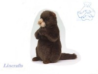 Wholesale Job Lot 3 Woodchuck. Plush Soft Toy By Hansa. Clearance Sale. 4842 Wholesale Job Lot 3 Woodchuck. Plush Soft Toy By Hansa. Clearance Sale. 4842