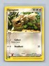 Zigzagoon 85/100 Common Sandstorm Pokemon Lightly Played