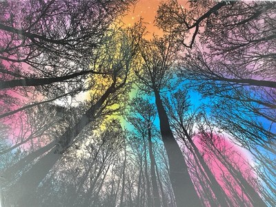 BGRAAMIENS BRAIN GAMES 1000 pcs FOREST UNDER STARRY NIGHT Puzzle 2024 Sealed