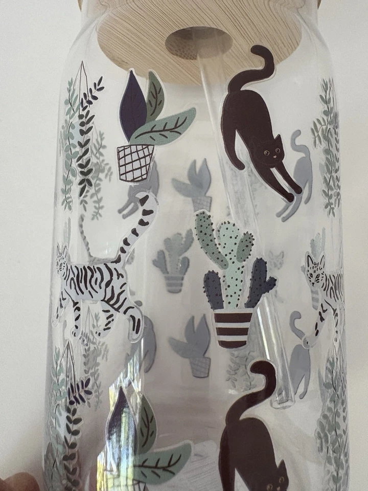 10 Strawberry Street «Кошки» 15 унций стеклянный стакан бамбуковая крышка и солома новый с Ярлыками! - Изображение 2 из 4