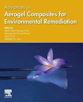 Advances in Aerogel Composites for Environmental Remediation - 9780128207321