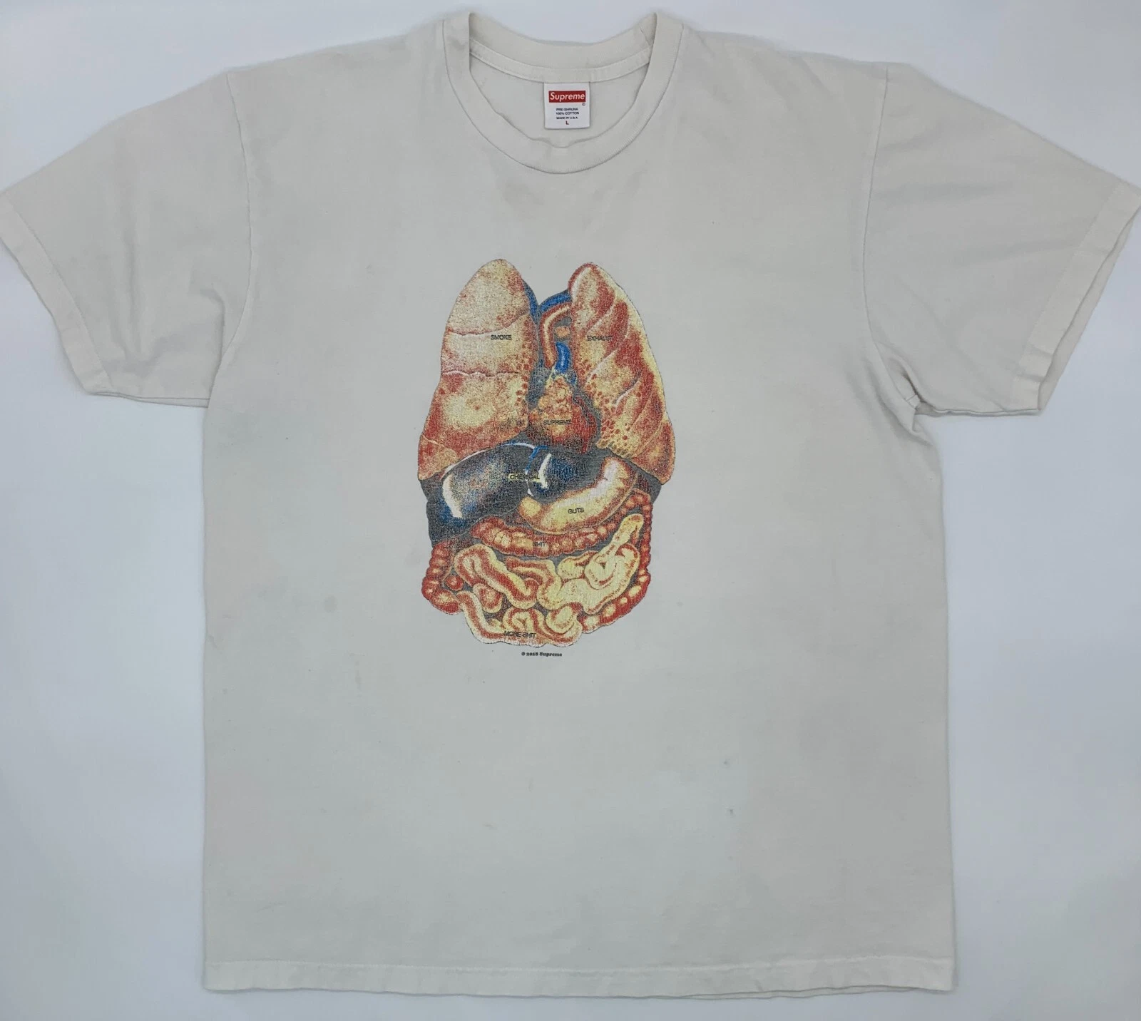 Chemise Supreme Homme Grande Anatomie Graphique Intestins Organes Patineur New York City