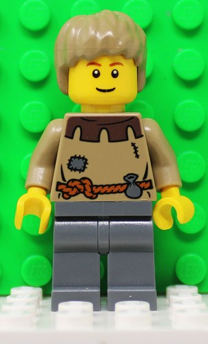 ๐ฐKate's Figs: LEGO Castle Minifigures - Kings, Knights, Crusaders, & Forestmen - Picture 260 of 316