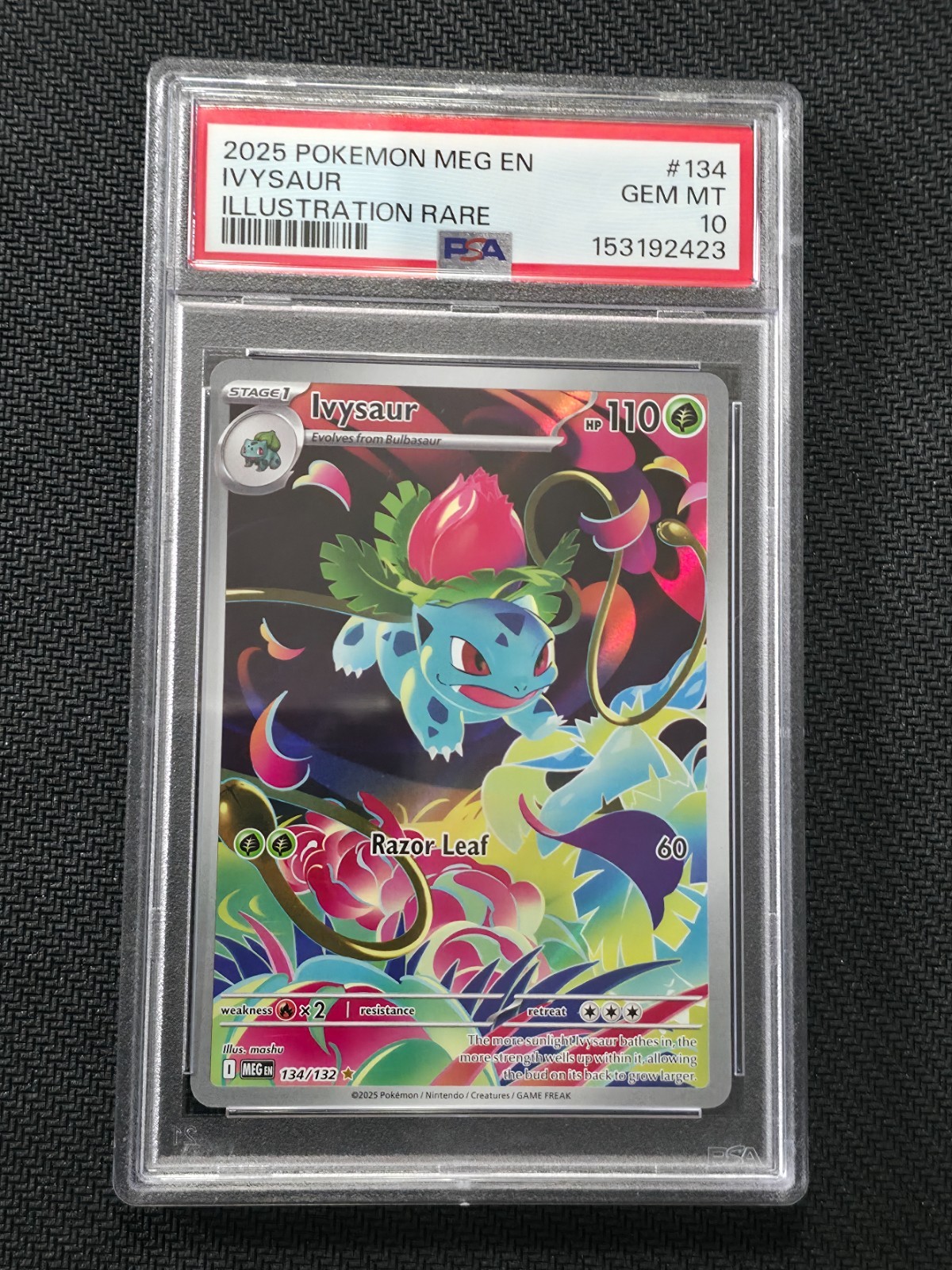 Pokémon TCG Ivysaur Illustration Rare Mega Evolution 134/132 PSA 10 NEW CERT