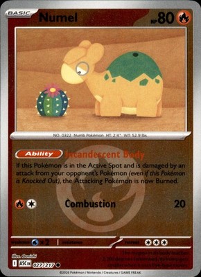 Numel (Energy Symbol Pattern) 027/217 Pokemon Ascended Heroes NM
