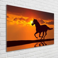 Tulup Pittura Su Vetro Tempereto Immagine 100x70cm - Tramonto A Cavallo