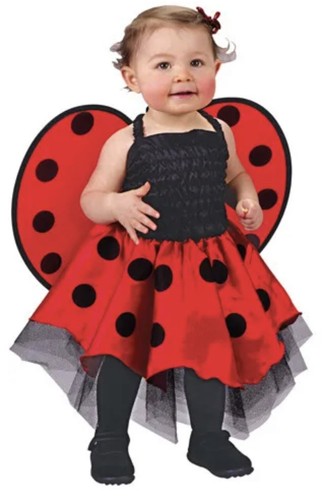 Toddler Ladybug Costume -up to 24 months ~Child Kids Dress + Wings Halloween - Picture 2 of 12