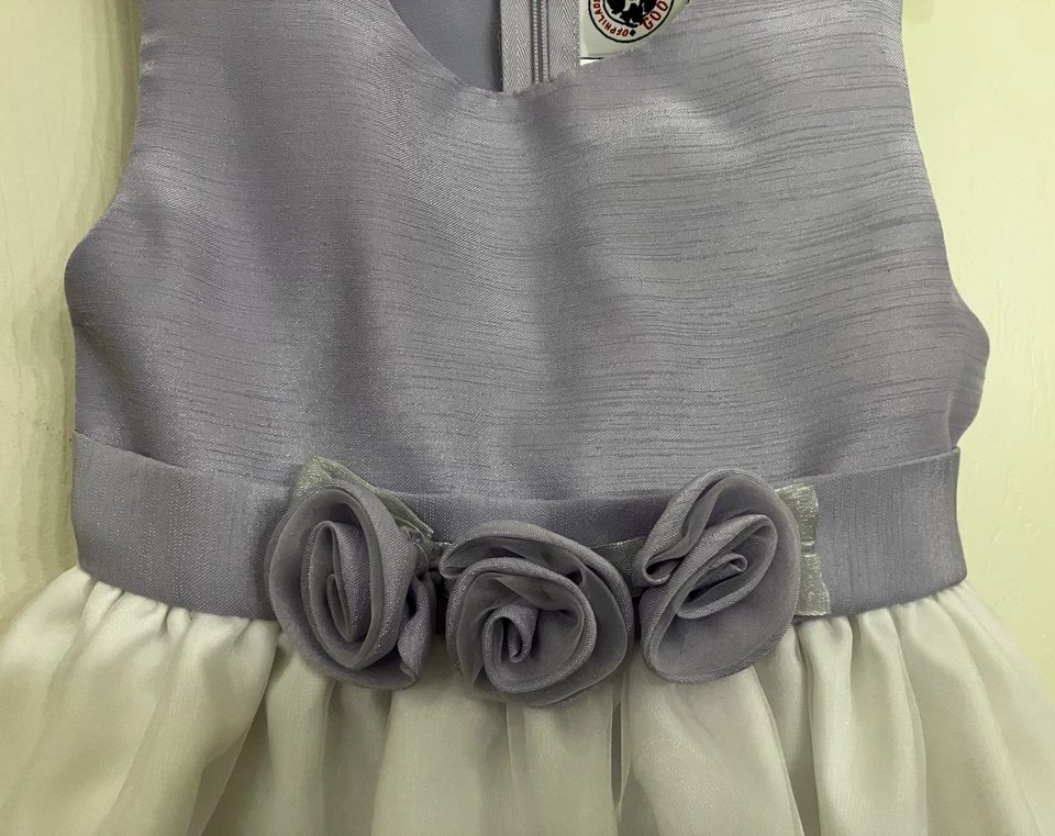 GOOD LAD Vestido Bordado Flores Lavanda Blanco Tul Transparente Superposición Niña 5 Usado en Excelente Condición Foto 3 de 4