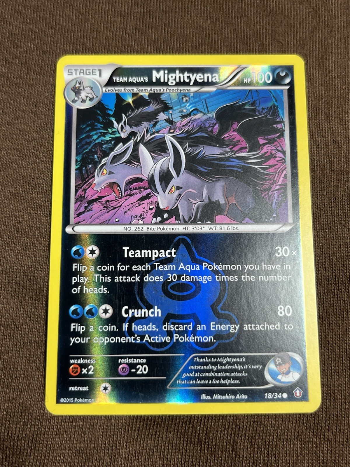 Team Aqua's Mightyena 18/34 Double Crisis Reverse Holo T227