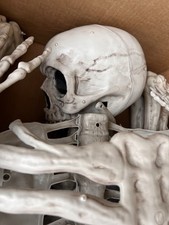 83 Halloween LifeSize Posable Skeleton Bones with Moveable Joints Grey